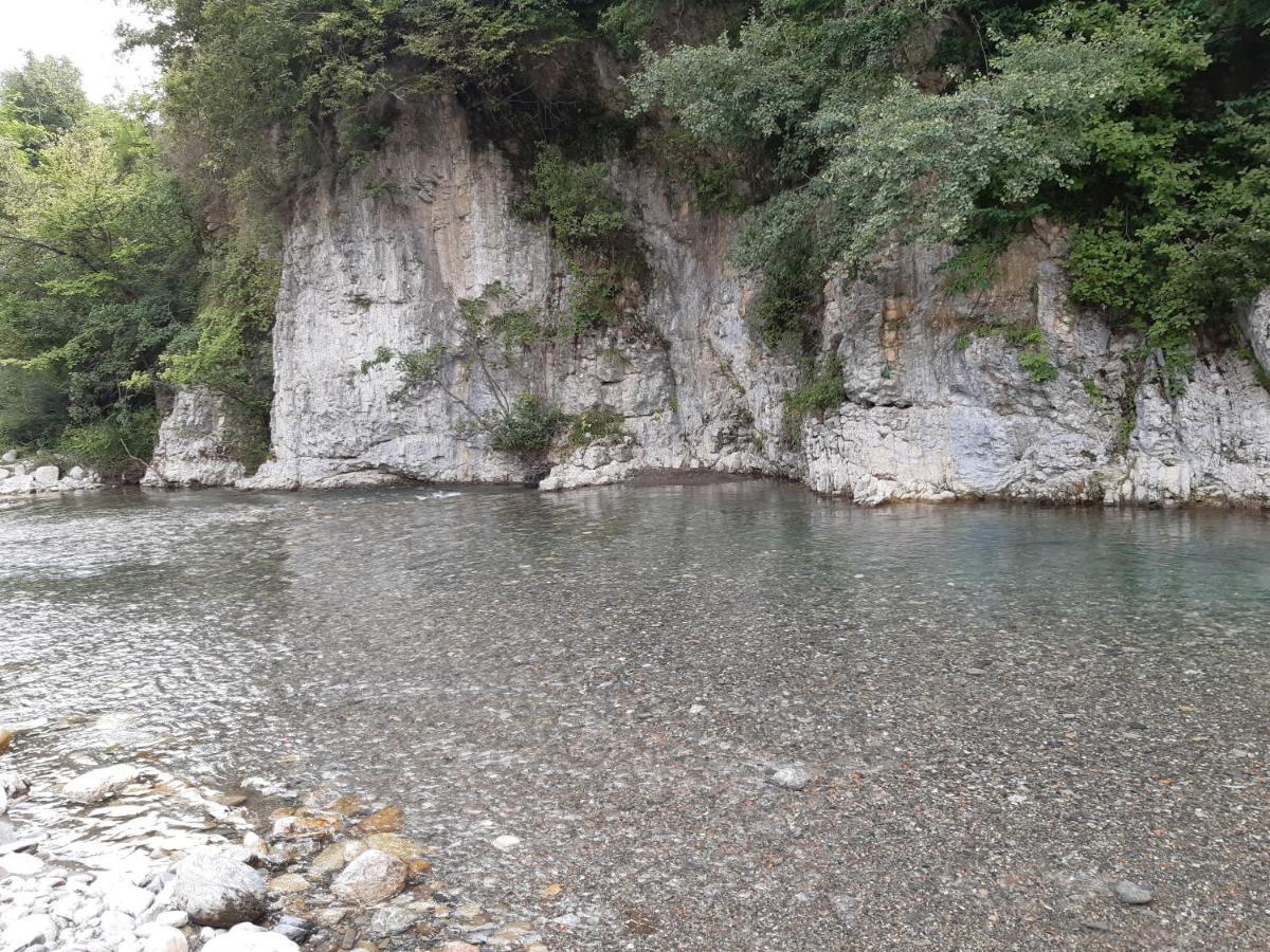 Habitatge Turistic Cal Ferrer Daire Sant Pau de Seguries Dış mekan fotoğraf